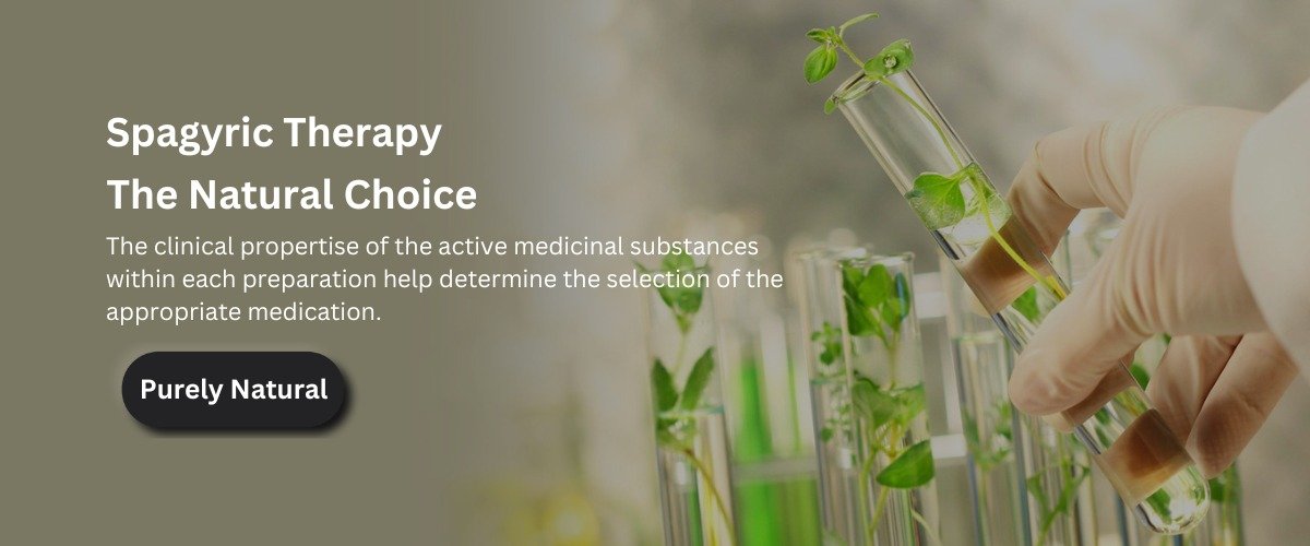 WhatsApp Image 2024-08-30 at 7.55.44 PM (1)