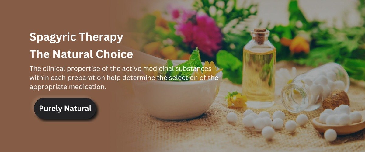 WhatsApp Image 2024-08-30 at 7.55.44 PM (2)