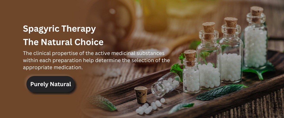 WhatsApp Image 2024-08-30 at 7.55.44 PM