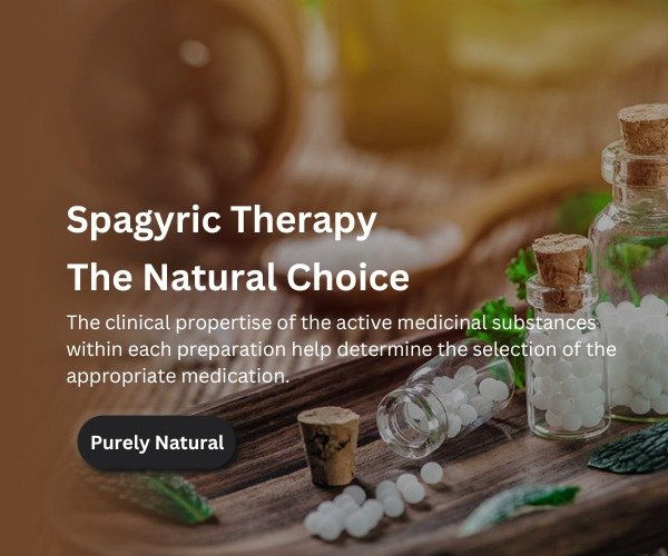 WhatsApp Image 2024-08-30 at 8.04.24 PM (1)