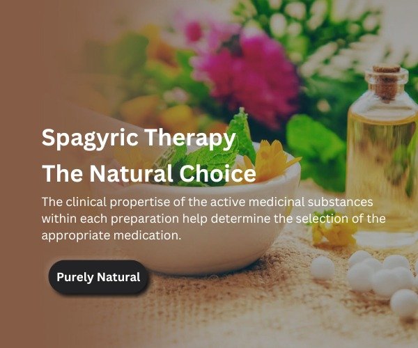 WhatsApp Image 2024-08-30 at 8.04.24 PM